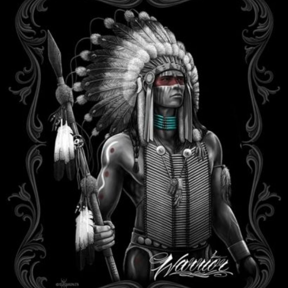 Warrior Indian Special edition luxury queen blanket NWT by DGA 4-5LBS